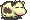 Mucca
